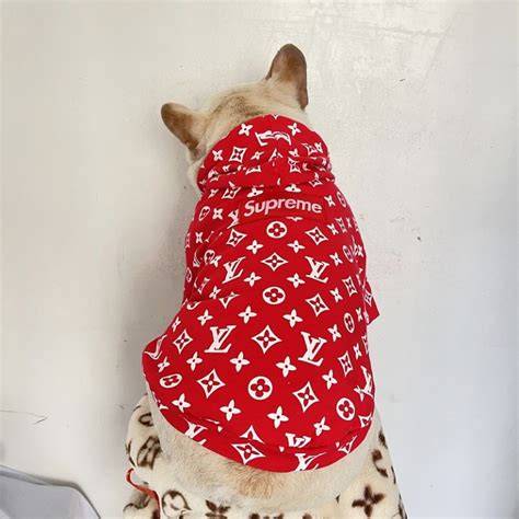 fake louis vuitton dog sweater|Louis Vuitton dog accessories.